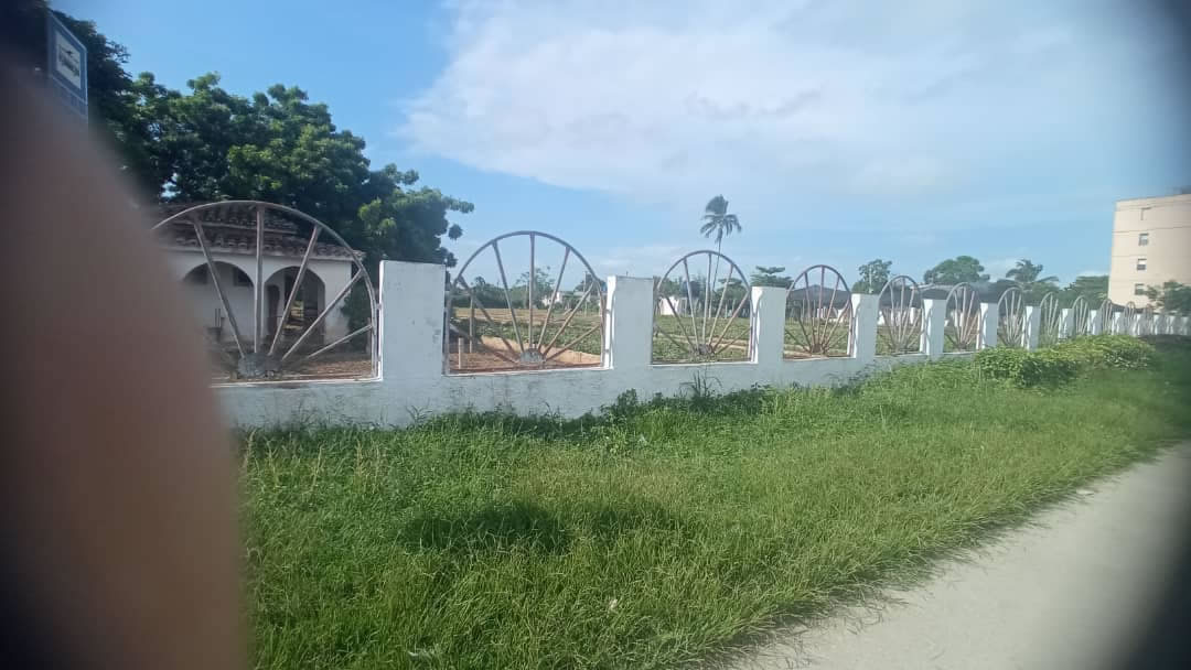 Organopónicos Camajuani Organopónicos Camajuani