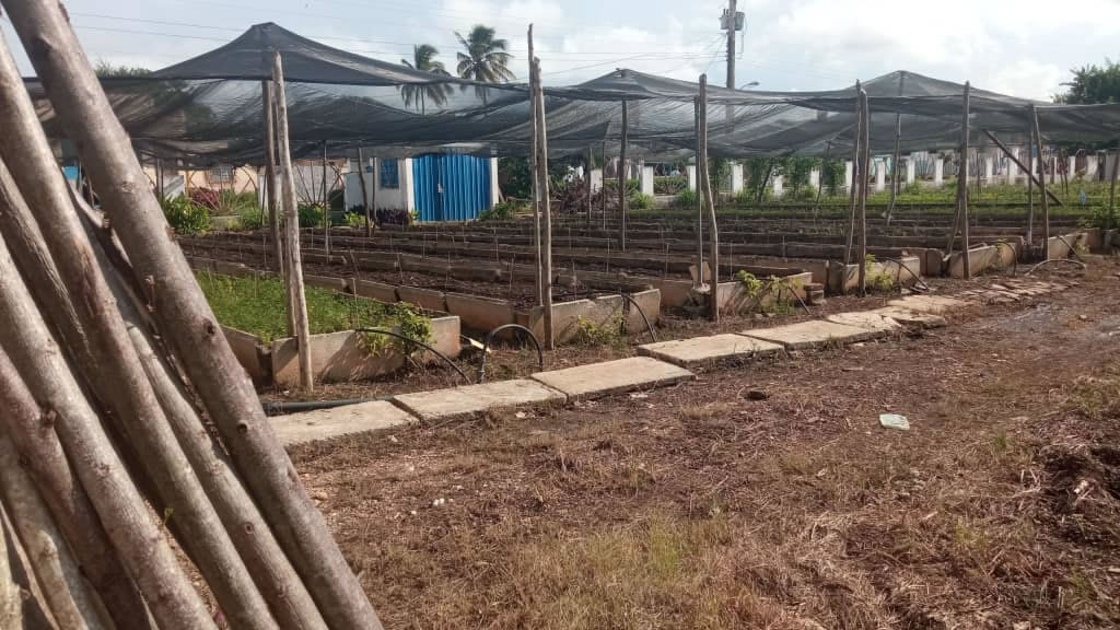 Organopónicos Camajuani Organopónicos Camajuani